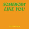 About Somebody Like You Song