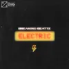About Electric Song