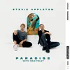 About Paradise (with Sam Feldt) Song