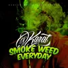 About SMOKE WEED EVERYDAY Song