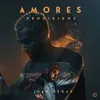 About Amores Prohibidos Song
