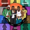 About Naughty Naughty (feat. Swarmz, S1mba & Noizy) Song