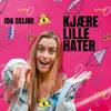 About Kjære lille hater Song