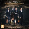 String Quartet No. 4 in C Major, D. 46: I. Adagio - Allegro con moto