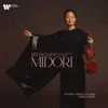 Violin Concerto in D Major, Op. 61: I. Allegro ma non troppo