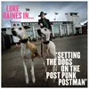 Setting The Dog On The Post Punk Postman