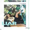 About Liar Song