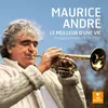 Suite in D Major: Prince of Denmark's March "Trumpet Voluntary" (Arr. Defaye for Trumpet and Organ)