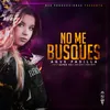 About No Me Busques Song
