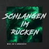 About Schlangen im Rücken Song