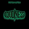 Loudness 8186 Live