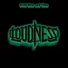 Loudness 8117 Live