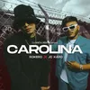 About Carolina Song