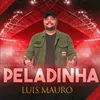 About Peladinha Song