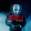 About Guerrilla Song