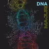 About DNA Song