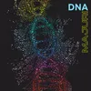 DNA