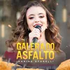 About Galera do Asfalto Song