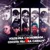 MEGA FUNK VOLTEI PRA CACHORRADA X COCOTA FEIA PRA CARALHO (feat. DJ GUSTAVO DA VS & DJ Jeeh FDC)