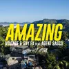 About Amazing (feat. Agent Sasco) Song