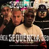 SEQUENCIA DA CATUCADA (feat. Mc guizinho niazi)