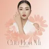 About Cúc Họa Mi Song
