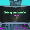 About Chẳng Còn Muốn Song