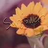 Sunflower (Beat)