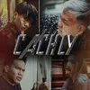 About Cách Ly Song