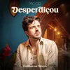 About Desperdiçou Song