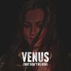 About Venus (Why Don't We Run) Song