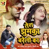 About Tera Jhumka Bareli Ka Song