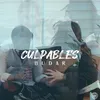 About Culpables Song