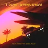 About I Don't Wanna Know (feat. Brenda Mullen) Song