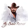 About Ay Bala Remix Song