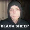 Black Sheep