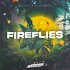 About Fireflies Song