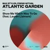 About Show Me Which Way To Go (feat. Lauren L'aimant) Song
