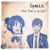 About Sparkle (from kimi no Na Wa) Song