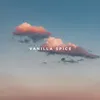 About Vanilla Spice Song