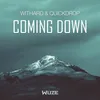 Coming Down (Extended Mix)