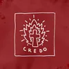 About Credo Song
