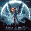 About Never Let Me Go Song