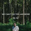 About We Can't Do This Anymore Song