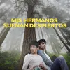 About Mis Hermanos Sueñan Despiertos Song