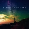 About Flying in the Sky Song