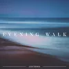 About Evening Walk Song