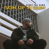 About Son Of A Gun Song