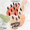 About Green Light (feat. Kate Wild) Flava D Remix Song