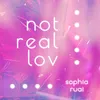 About Not Real Lov Song